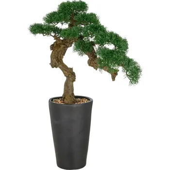 umělá květina Umelý Bonsaj cedr Magnesia venkovní, 80cm