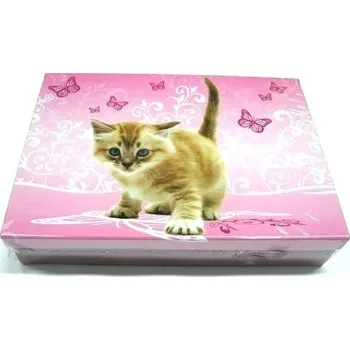 Školní kufřík Školní krabice do lavice Kotě