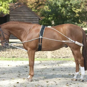 Fair Play Pessoa postroj pro koně Barva: Černá, Velikost: Full