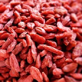 Sušené ovoce Kustovnice čínská Goji 1000g Zelené Drahokamy