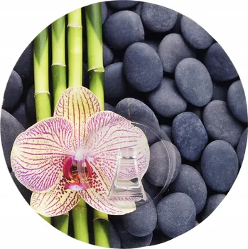 Věšák Háček s přísavkou Wenko šedý, vícebarevný