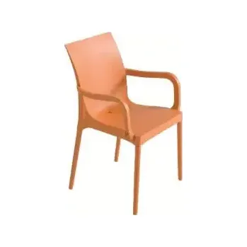 Křeslo Židle Eset - s područkami - SLEVA 3% s kodem radost25