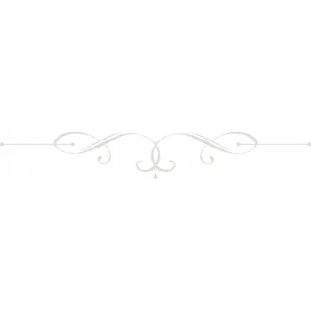 Anglický jazyk Ready for C1 Advanced. Fourth Edition. Workbook and Digital Workbook without key Kolektivní práce