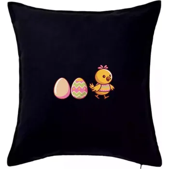 Polštář Evoluce vajíčka - velikonoce - kuře - Polštář 50x50 - 50x50 - Pouze potah ( Černá )