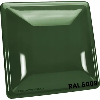 Příslušenství pro čtečku elektronické knihy BARVA RAL 6009 Polyesterová Zelená Jedlová Hladká Lesklá 1