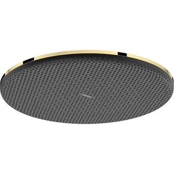 Sprchová hlavice Hlavová sprcha Hansgrohe Raindance Alive S na strop nebo na stěnu leštěný vzhled zlata 24521990