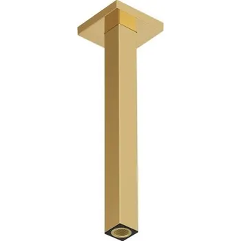 Sprchová hlavice Sprchové rameno Hansgrohe leštěný vzhled zlata 24339990