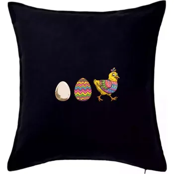 Polštář Evoluce vajíčka - velikonoce - slepice - Polštář 50x50 - 50x50 - Pouze potah ( Černá )