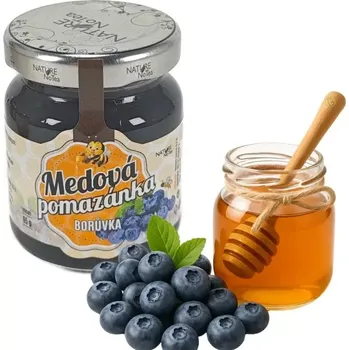 Medová pomazánka NoTea Borůvka 65g