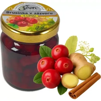 Čaj Staročeské Novoměstské čaje - Brusinka v zázvoru 60ml