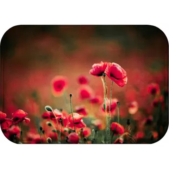 Koupelnová předložka KOUPELNOVÁ PŘEDLOŽKA MĚKKÁ OBDÉLNÍKOVÁ PŘÍRODA 40x60 RYCHLESCHNOUCÍ PODLOŽKA