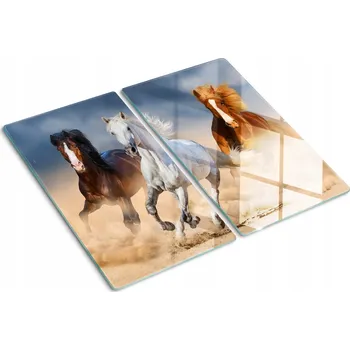Obraz Krájecí deska za sklem Koně Poušť 2x30x52