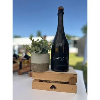 Sekt Brut 2023, pěstitelský sekt, Vinařství Jiří Holešínský, brut