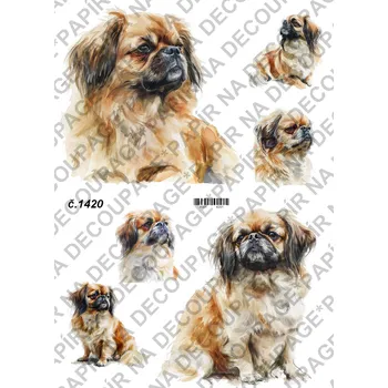 Umělecký papír Rýžový a soft papír na decoupage - Pejsek - KB01420 Materiál: Soft, Rozměr: A4