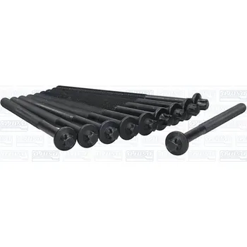 Spojovací materiál motoru Sada šroubů hlavy válce AJUSA 81024600