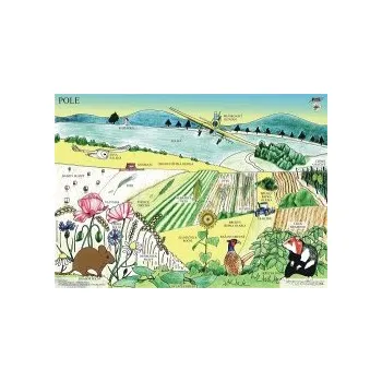 Výuková hračka POLE - Výukové tablo 98968PO