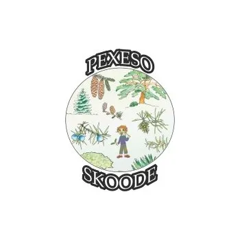 Výuková hračka Jehličnaté stromy - pexeso exteriér 8 cm kolečka 30ks 974-06