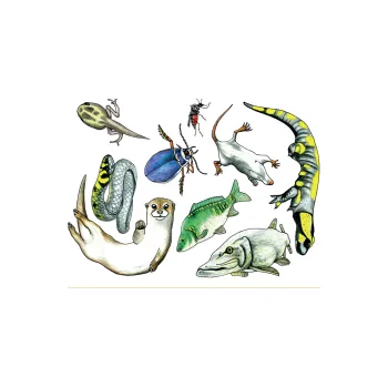 Výuková hračka Didaktická dokládačka POD HLADINOU NAD HLADINOU 174-66