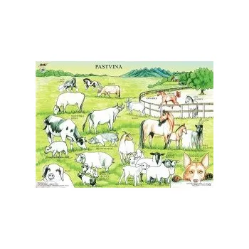 Výuková hračka PASTVINA - Výukové tablo 98967PA