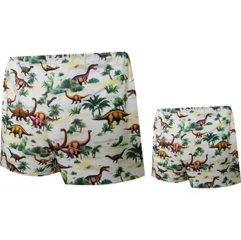 Trenýrky Trenýrky Táta A Syn FOLTÝN TAS73 Velikost: 116