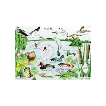 Výuková hračka RYBNÍK - Výukové tablo 98508RY