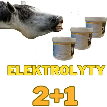 Elektrolyty pro koně prášek 2+1 kg ZDARMA