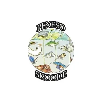 Výuková hračka POD hladinou NAD hladinou - pexeso exteriér 8 cm kolečka 30ks 974-04