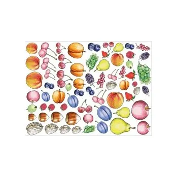 Výuková hračka Didaktická dokládačka OVOCE 174-02