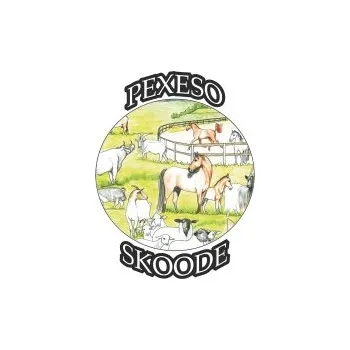 Výuková hračka Pastvina - pexeso kolečka 30 ks 974-09