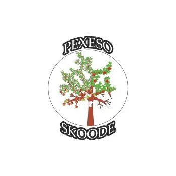 Výuková hračka Roční období pexeso exteriér 8 cm kolečka 30ks 974-14