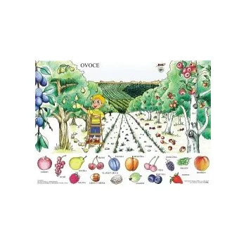 Výuková hračka OVOCE - Výukové tablo 98512OVO