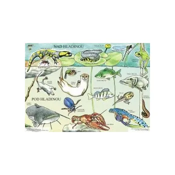 Výuková hračka NAD HLADINOU - Výukové tablo 98509NH