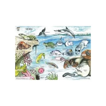 Výuková hračka MOŘE - Výukové tablo 98510MO