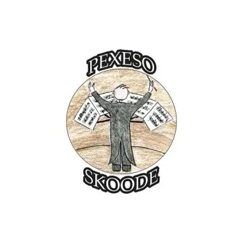 Výuková hračka Hudební nástroje - pexeso exteriér 8 cm kolečka 30ks 974-89