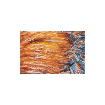 Barevný papír Vzorovaný karton 51-06 Zvířata domácí A3 10ks 9251-06