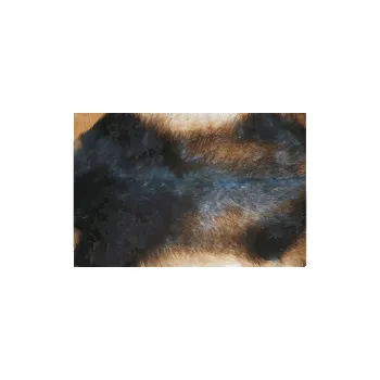 Barevný papír Vzorovaný karton 51-02 Zvířata domácí A3 10ks 9251-02