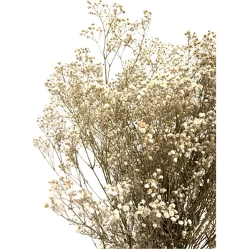 umělá květina Nevěstin závoj/stabilizovaná Gypsophila svazek/kytice přírodní champagne 90g-95g