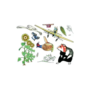 Výuková hračka Didaktická dokládačka POLE 174-36