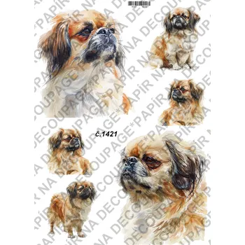 Umělecký papír Rýžový a soft papír na decoupage - Pejsek - KB01421 Materiál: Soft, Rozměr: A4