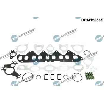 Těsnění motoru Sada těsnění, hlava válce Dr.Motor Automotive DRM15236S