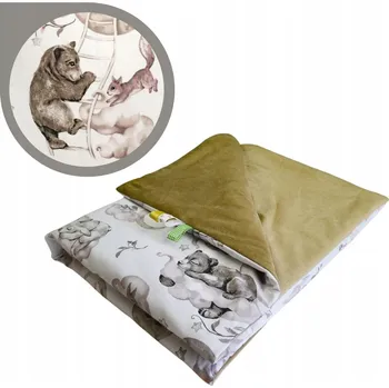 Dětská deka Dětská deka 75x100 Letní Medvídci na žebříku/Béžová Bavlna/Velvet