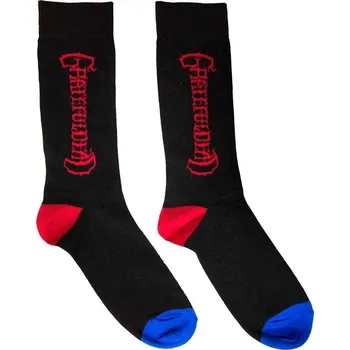 Pánské ponožky Grateful Dead Ponožky Vertical Mono Logo Black 39-45