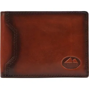 Peněženka Pánská kožená peněženka EL FORREST 851/A-29 hnědá
