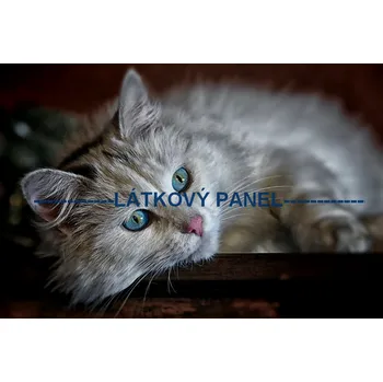 Látkový panel - Kočka - KČ-03 Velikost: 40x27cm, Materiál: Teplákovina nepočesaná