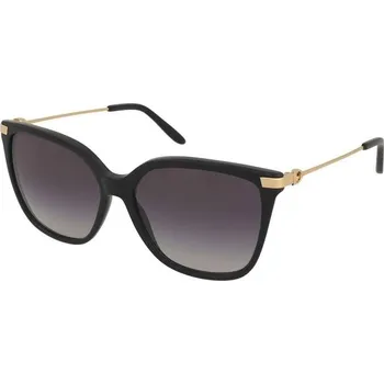 Sluneční brýle Sluneční brýle Ralph Lauren RL8209 5001/8G