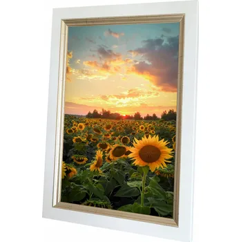 Obraz Rámeček na fotografie 15x21 FIONA Dárek pro Blízké