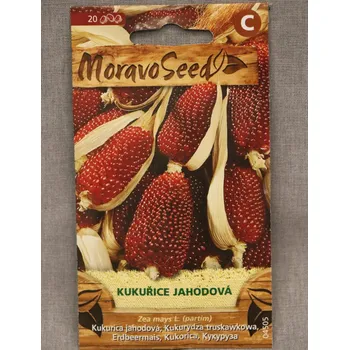 Semeno Kukuřice jahodová