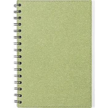 Zápisník Idina - Zápisník, zelená
