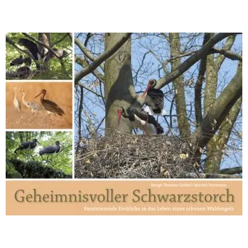 Encyklopedie Geheimnisvoller Schwarzstorch - Gröbel, Bengt-Thomas