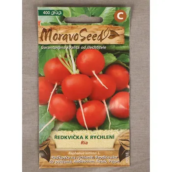 Semeno Ředkvička červená k rychlení Ria